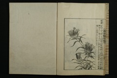 MOUUK00731-127