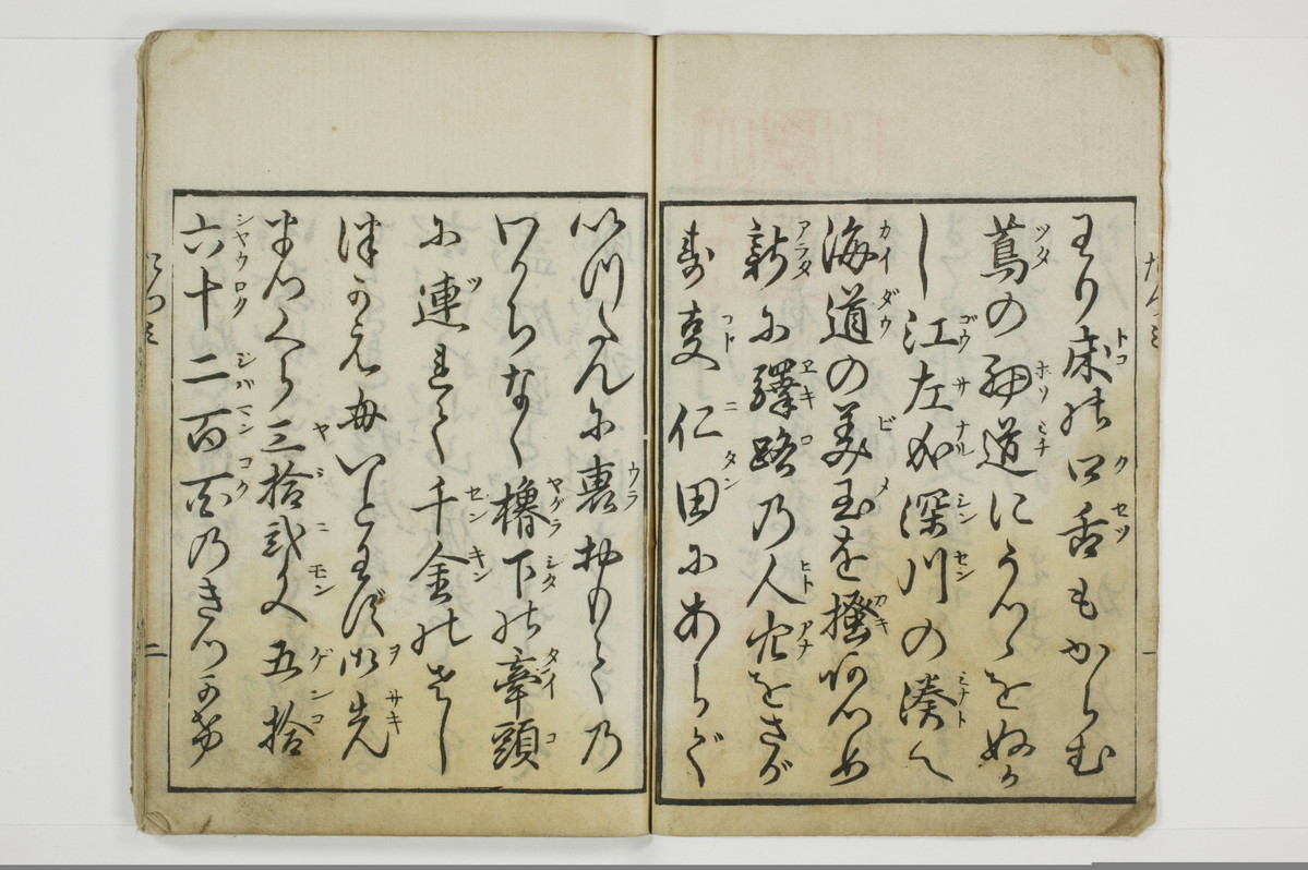 面美多勤身/A031_003