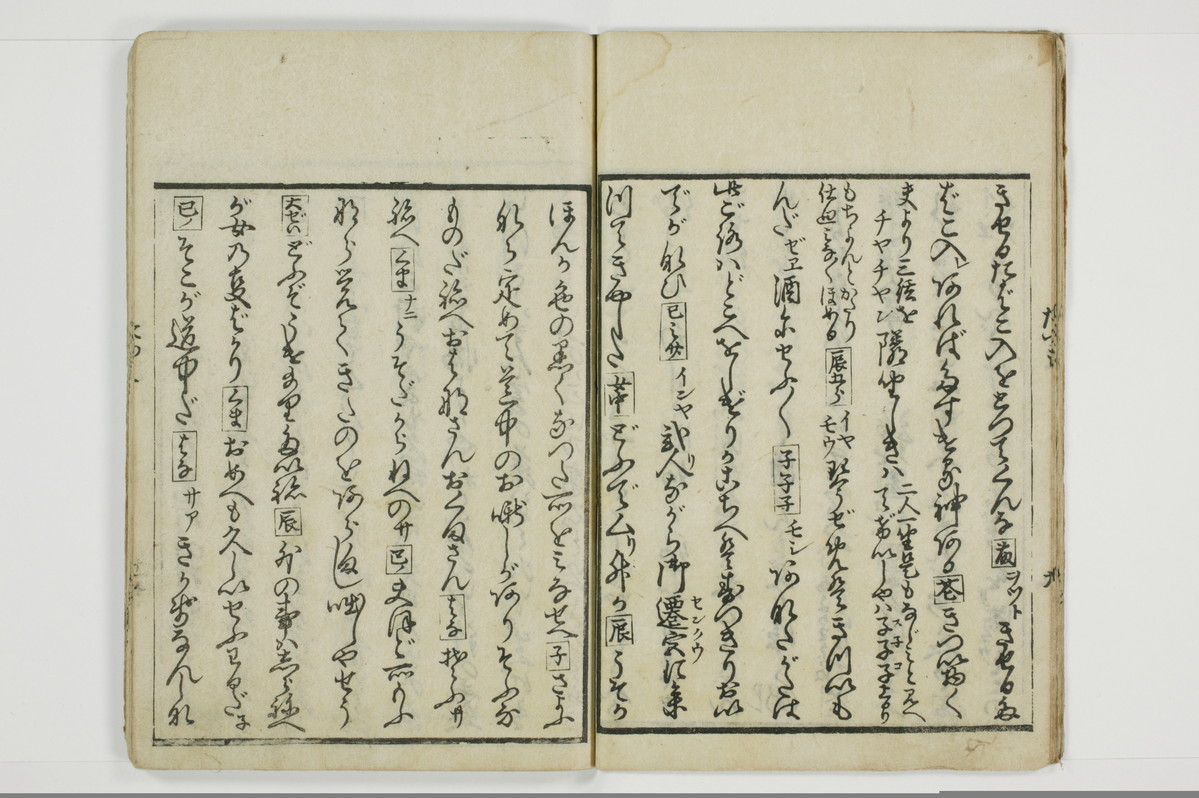 面美多勤身/A031_012