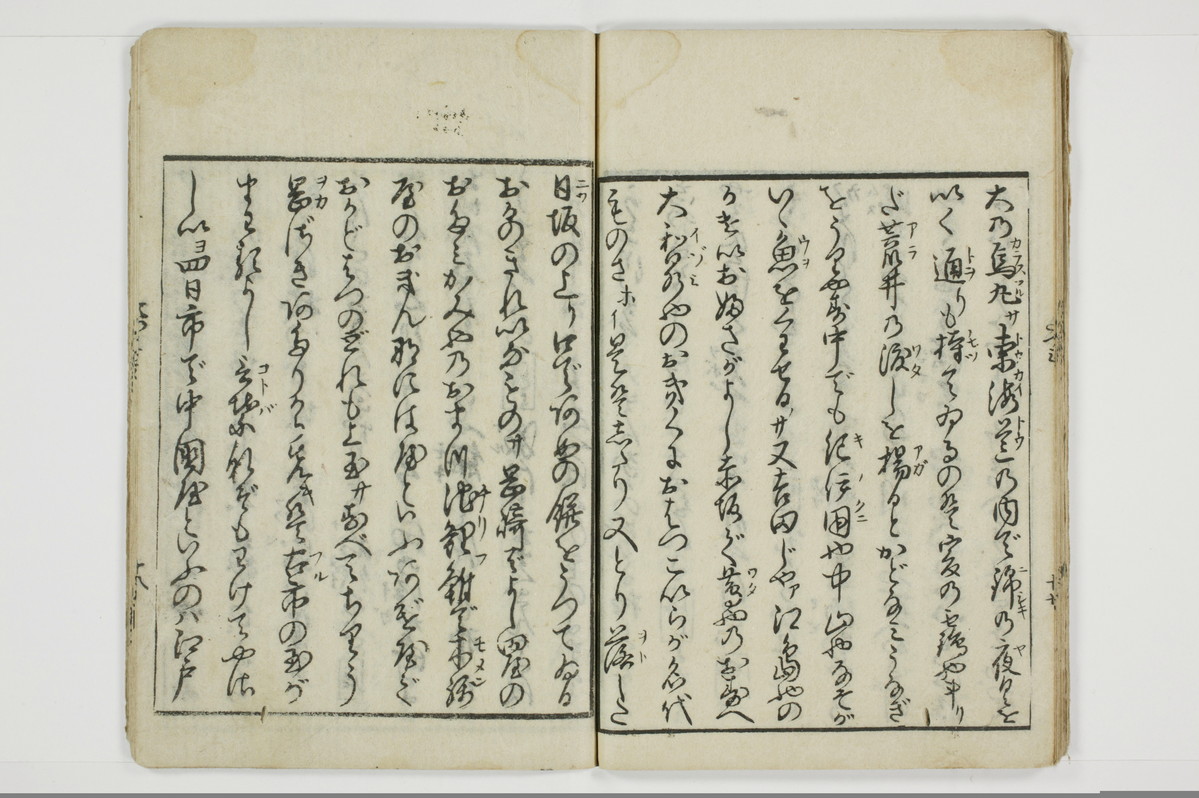 面美多勤身/A031_020
