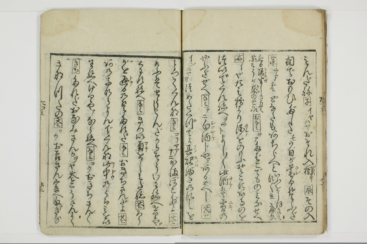 面美多勤身/A031_024