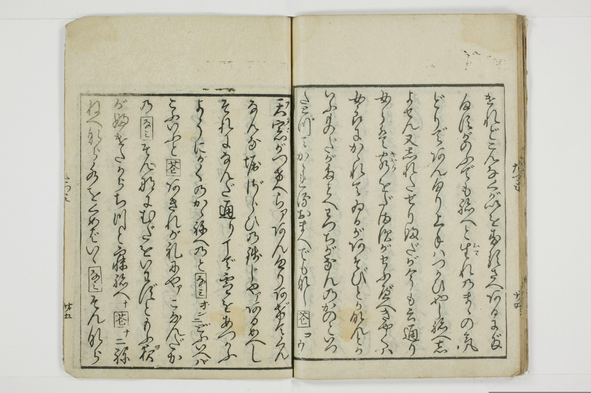 面美多勤身/A031_027