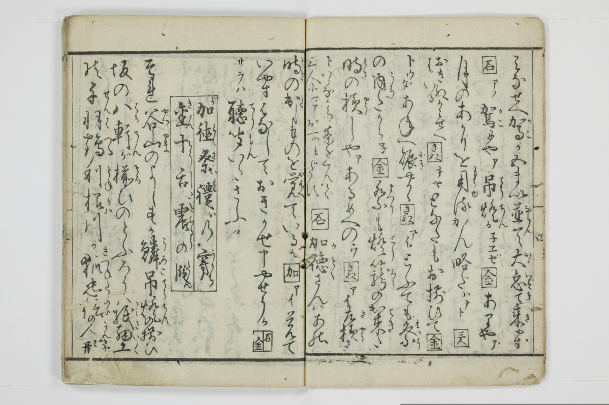 面美知之娌/A051_009