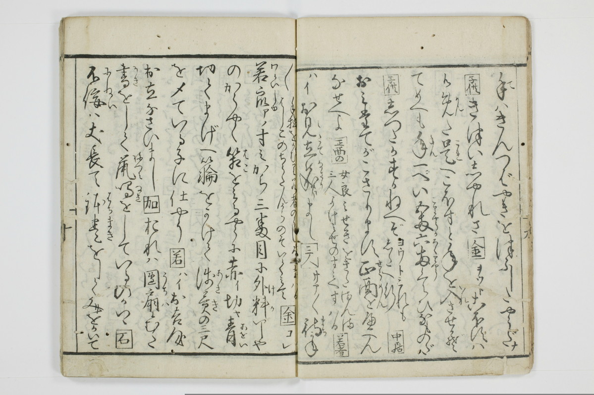 面美知之娌/A051_014