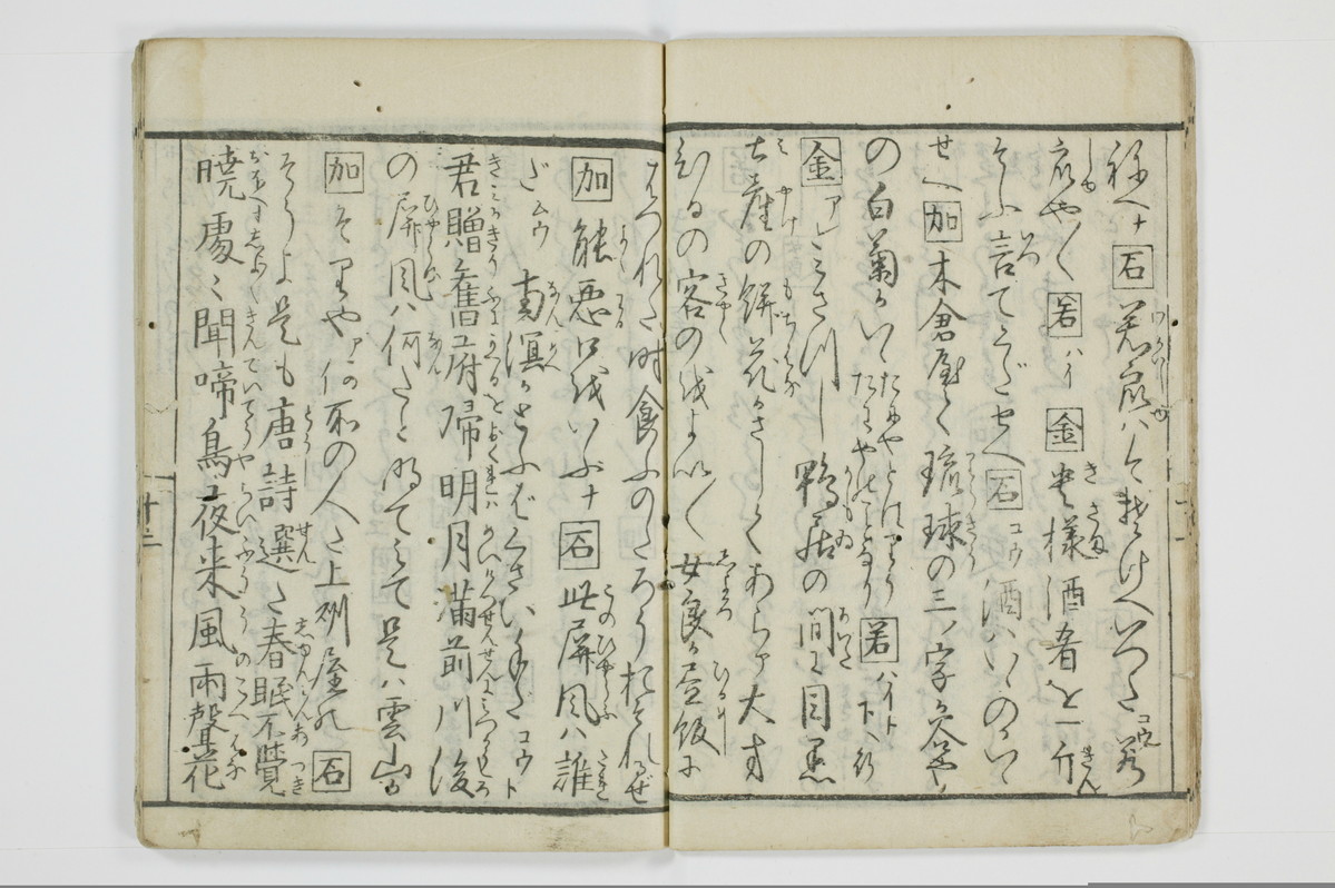 面美知之娌/A051_016