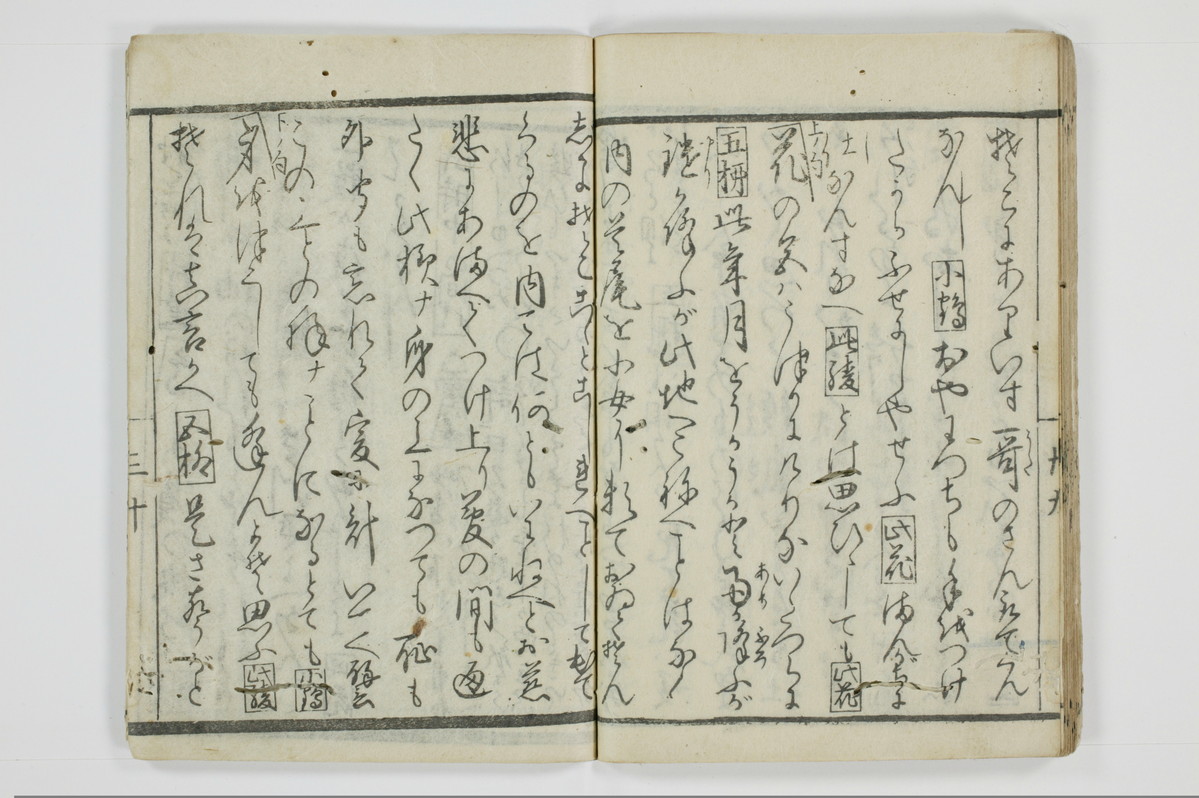 面美知之娌/A051_034