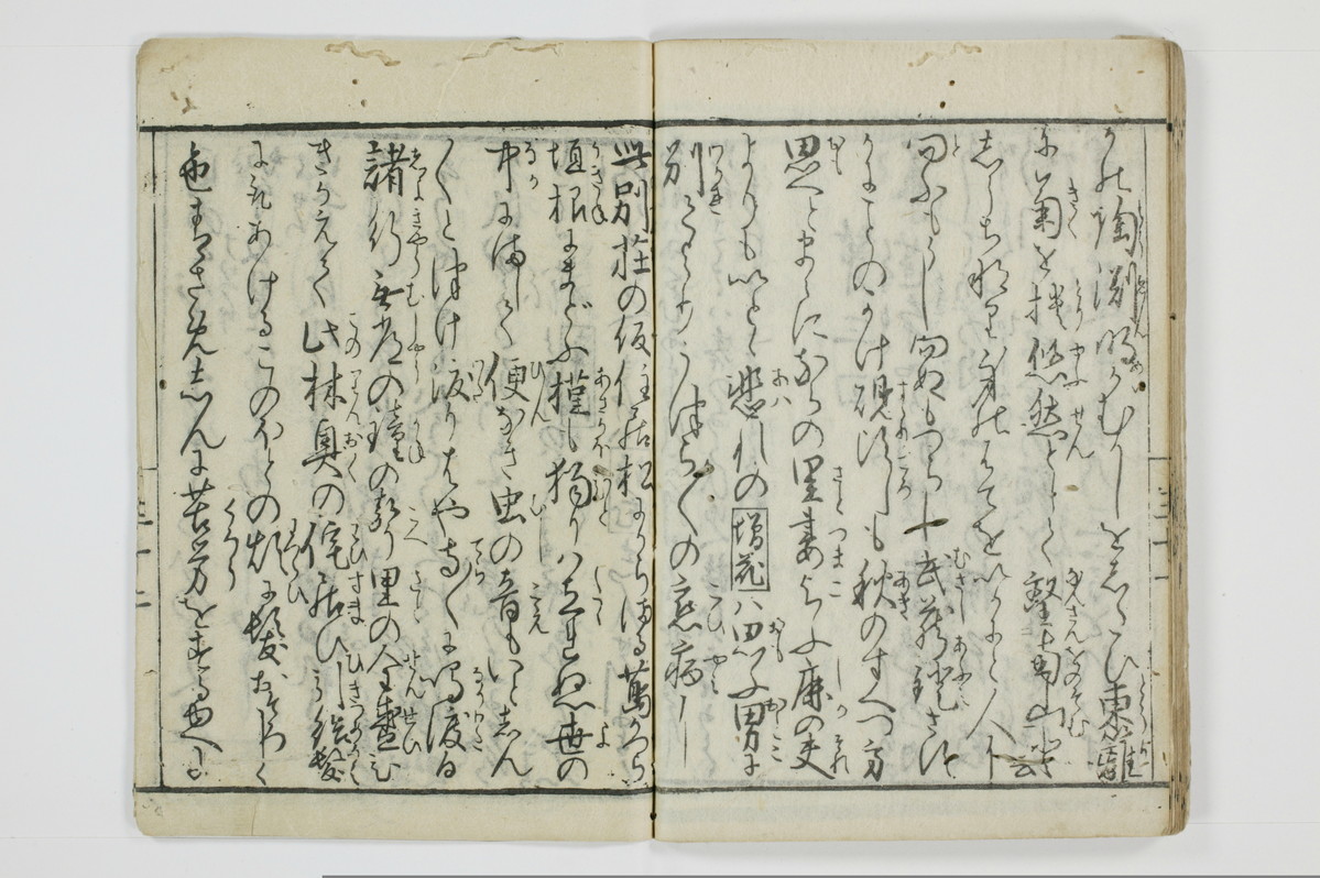 面美知之娌/A051_036