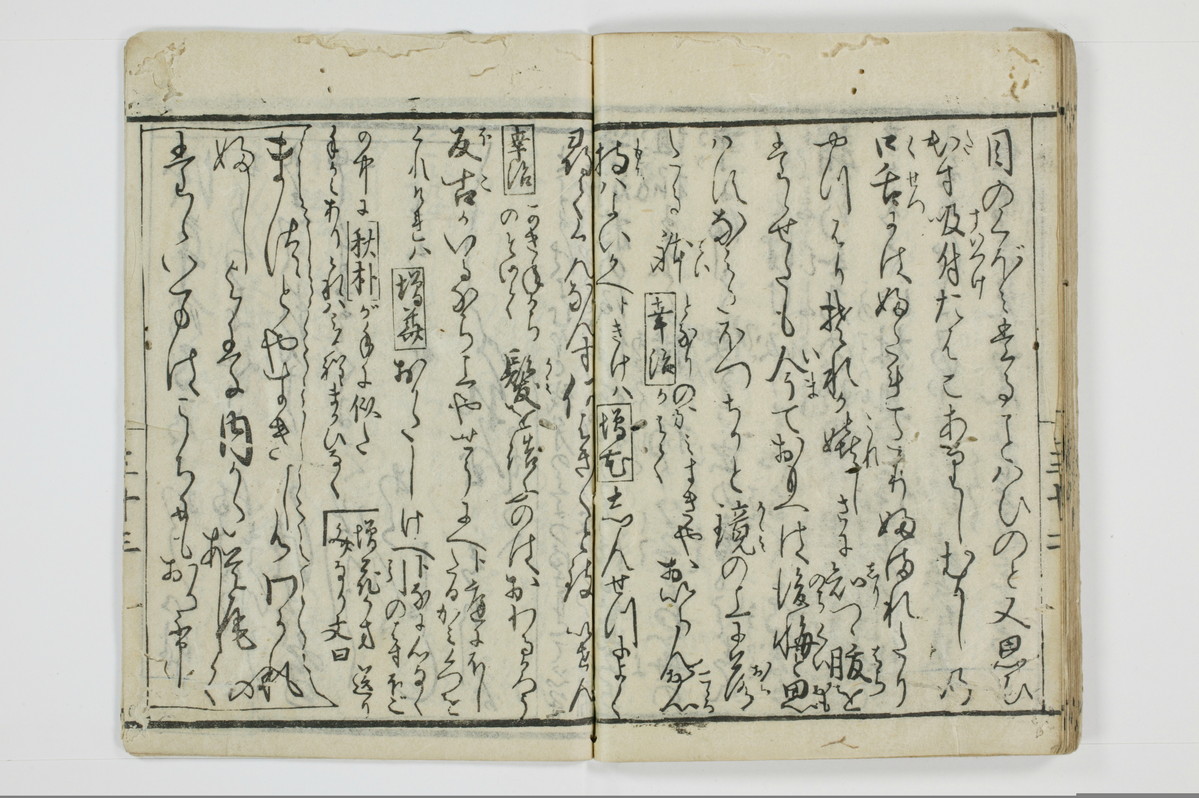 面美知之娌/A051_037