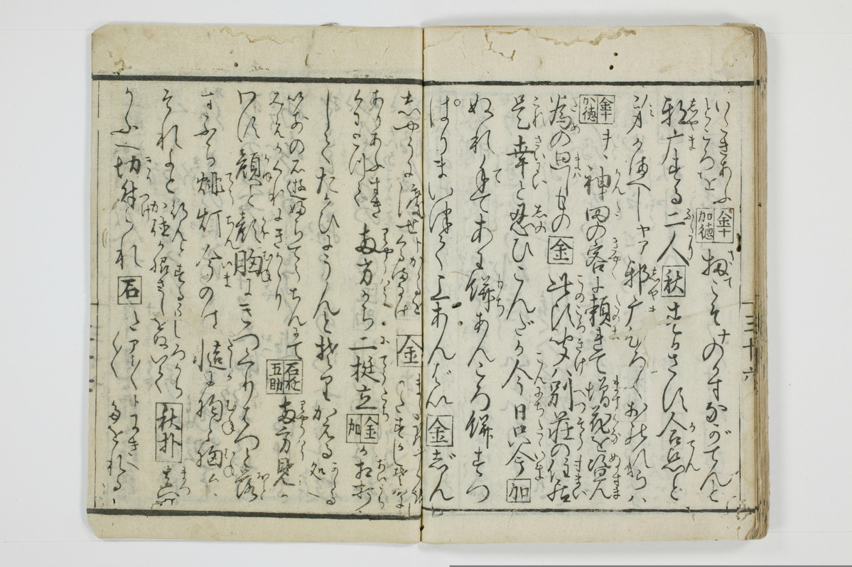 面美知之娌/A051_041