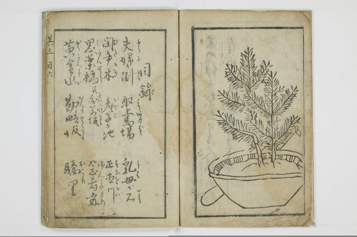 三国独合点/A053_005