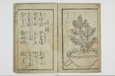 三国独合点/A053_005