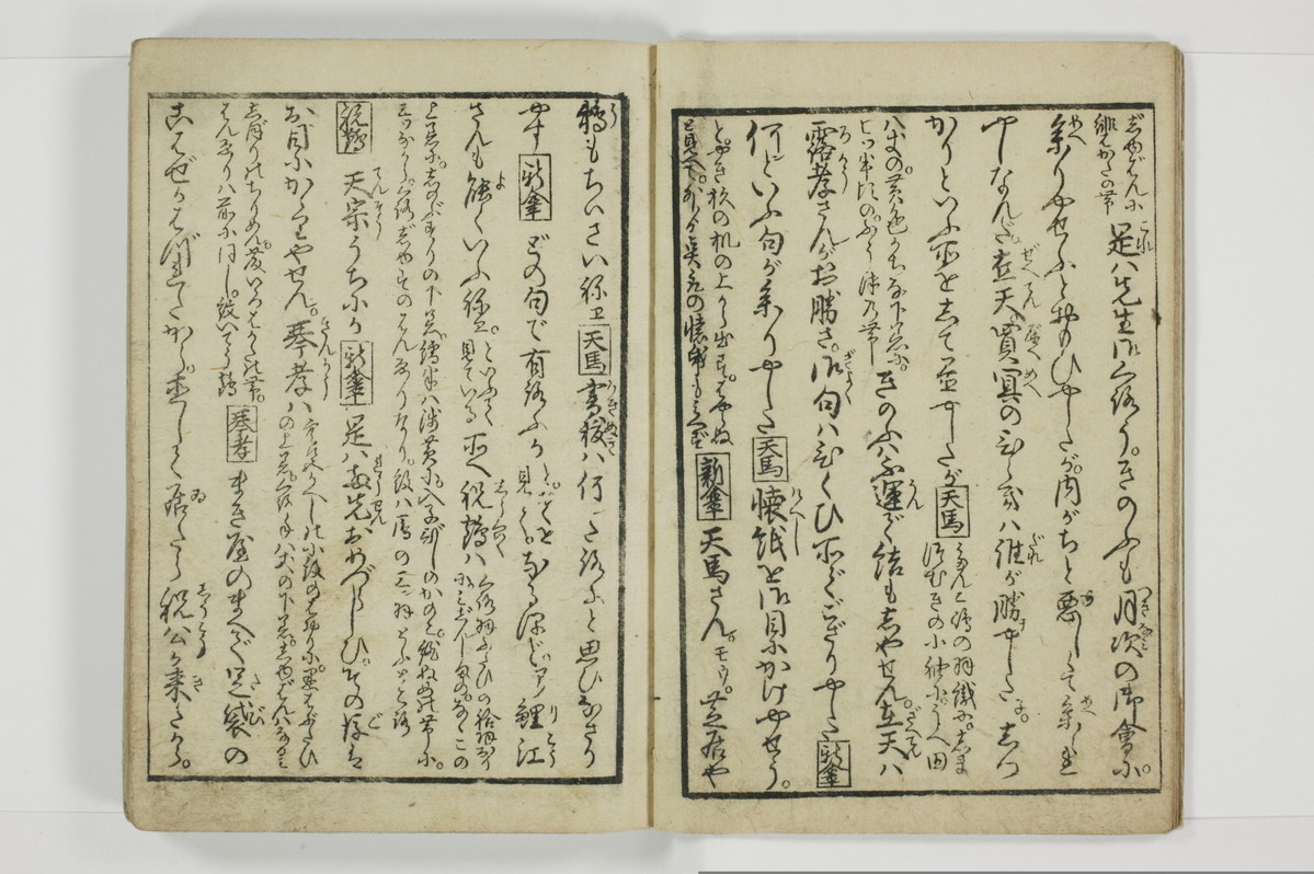 美地乃蠣殻/A055_005