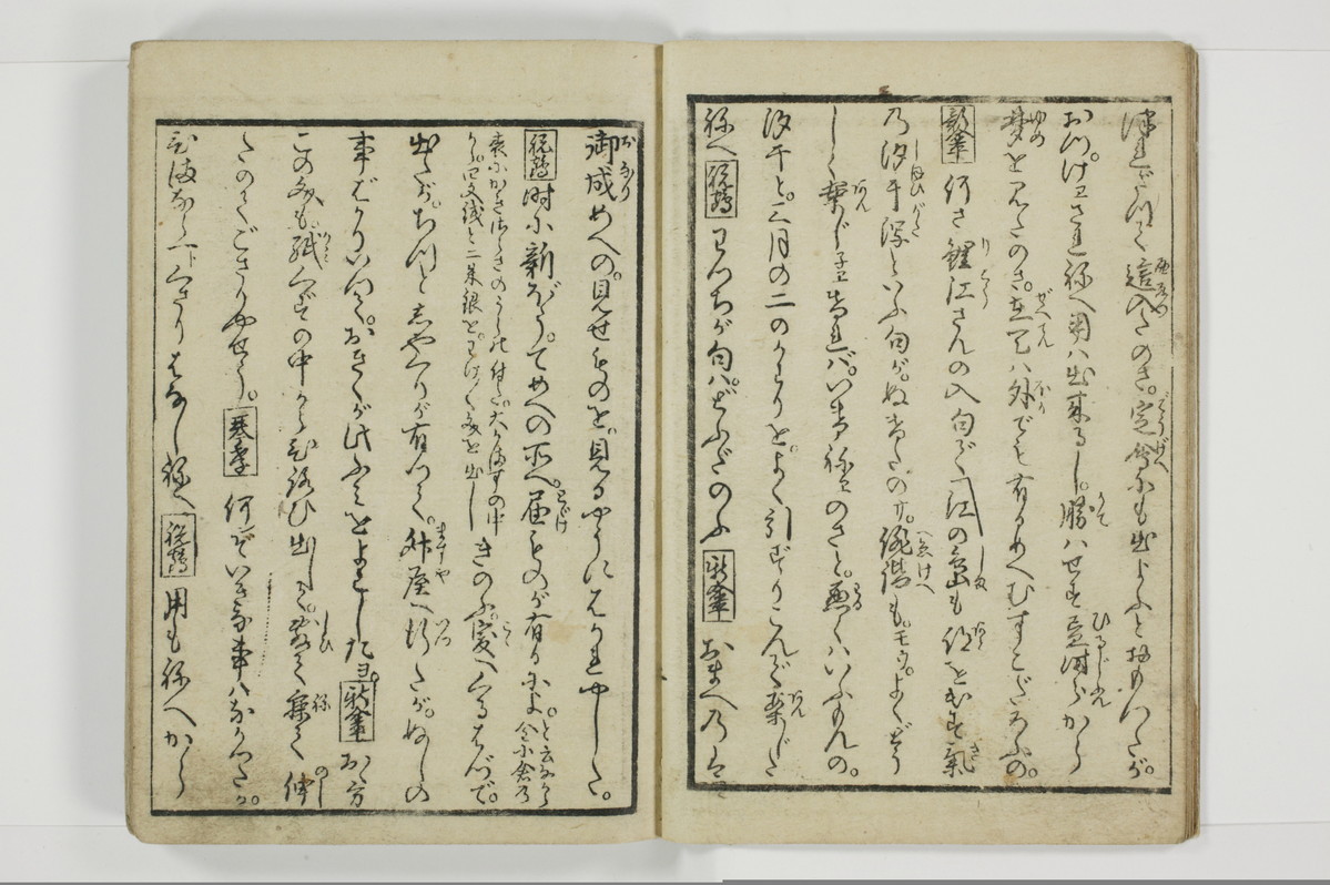 美地乃蠣殻/A055_006
