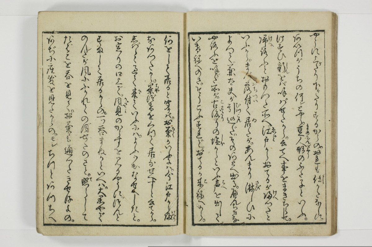 美地乃蠣殻/A055_009