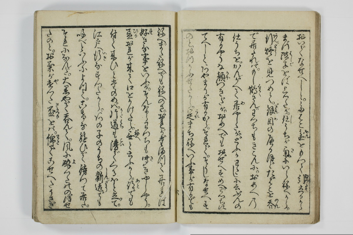 美地乃蠣殻/A055_010