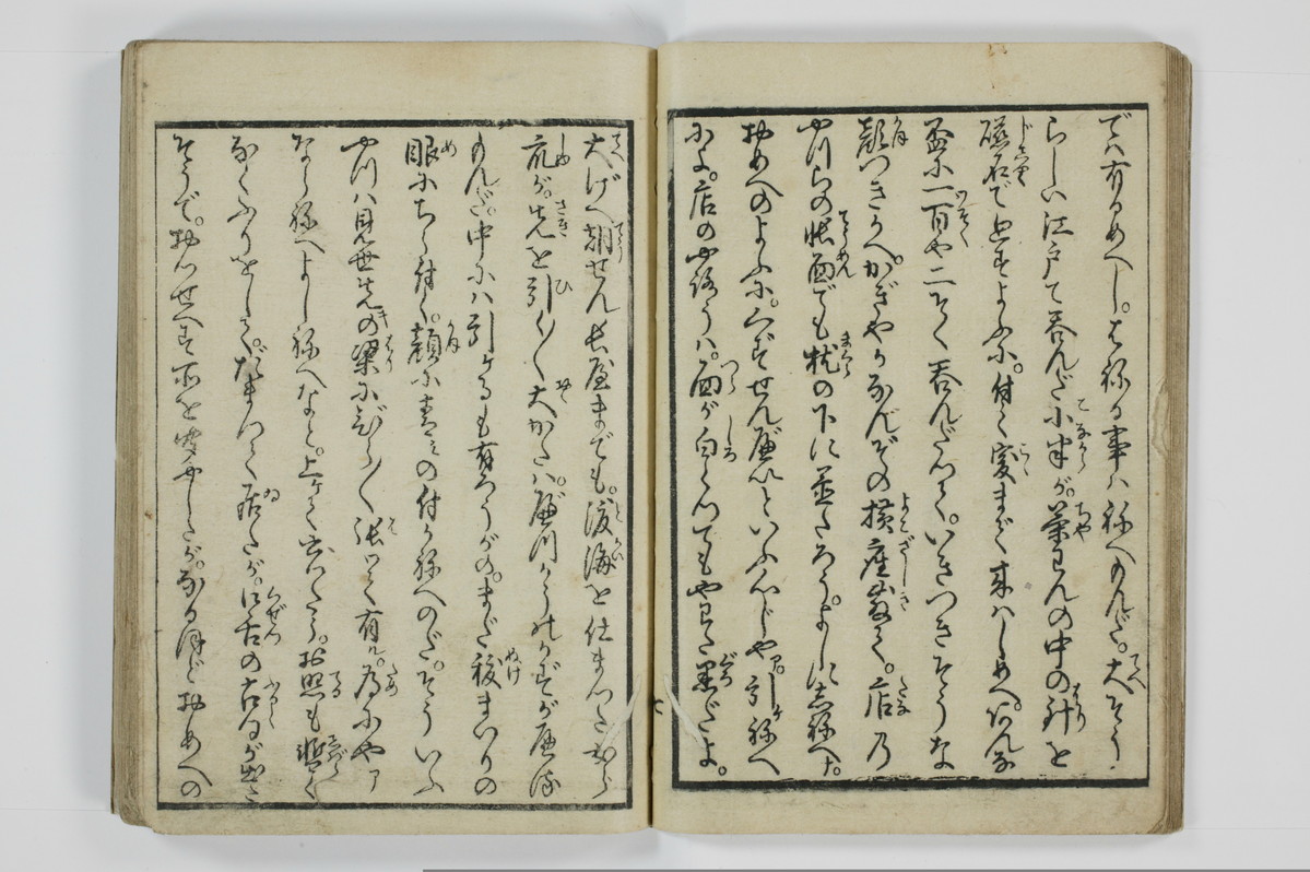 美地乃蠣殻/A055_011