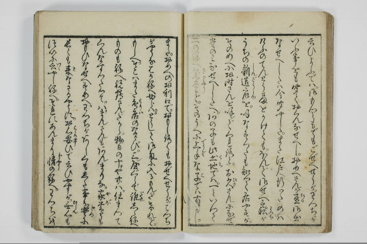 美地乃蠣殻/A055_012