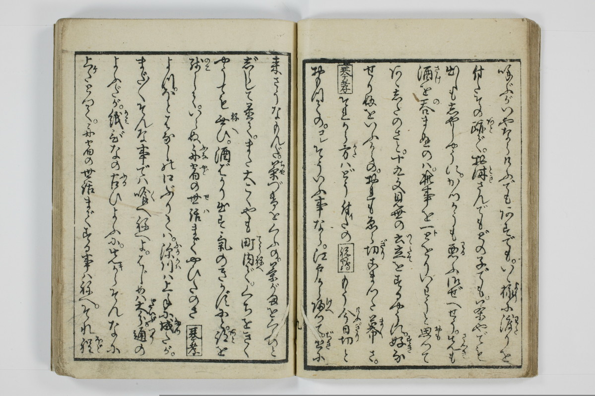 美地乃蠣殻/A055_013