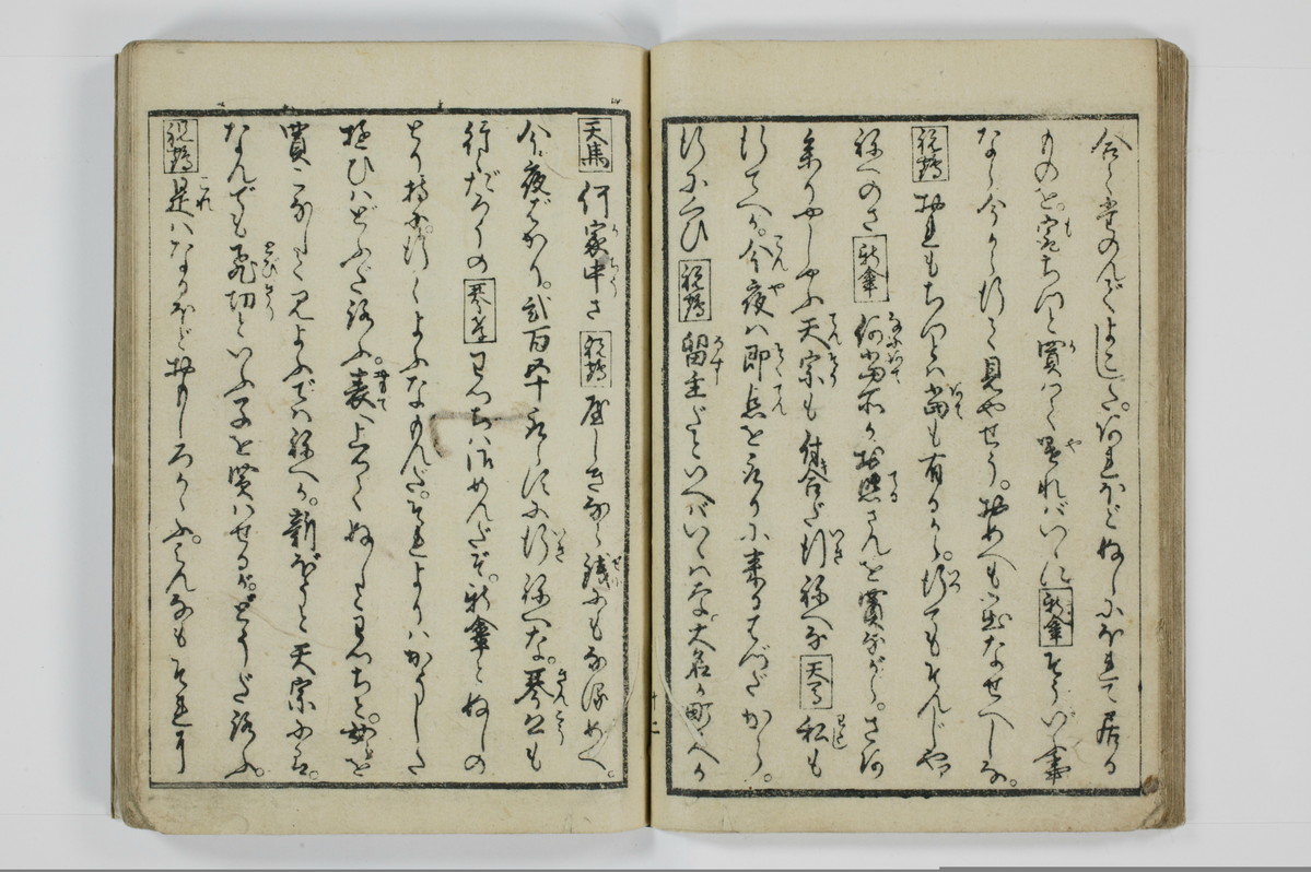 美地乃蠣殻/A055_016