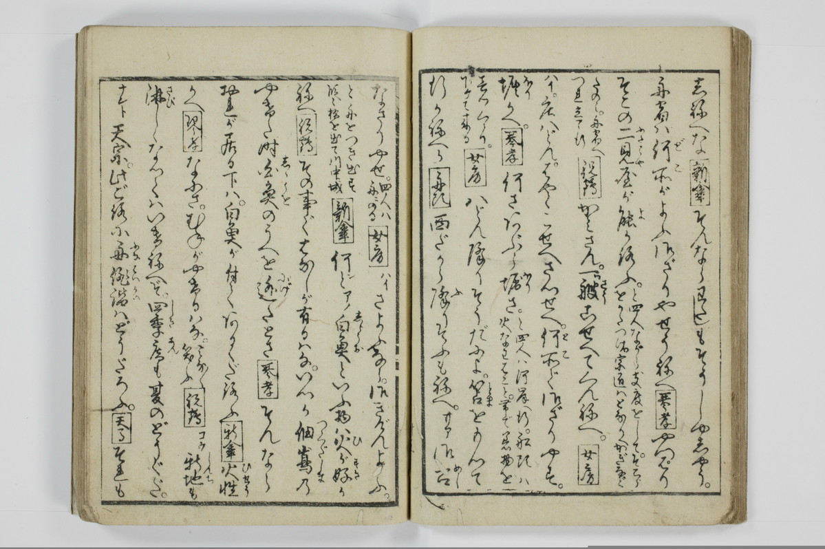 美地乃蠣殻/A055_017