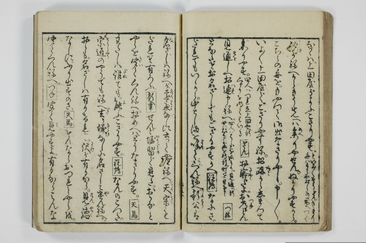 美地乃蠣殻/A055_020