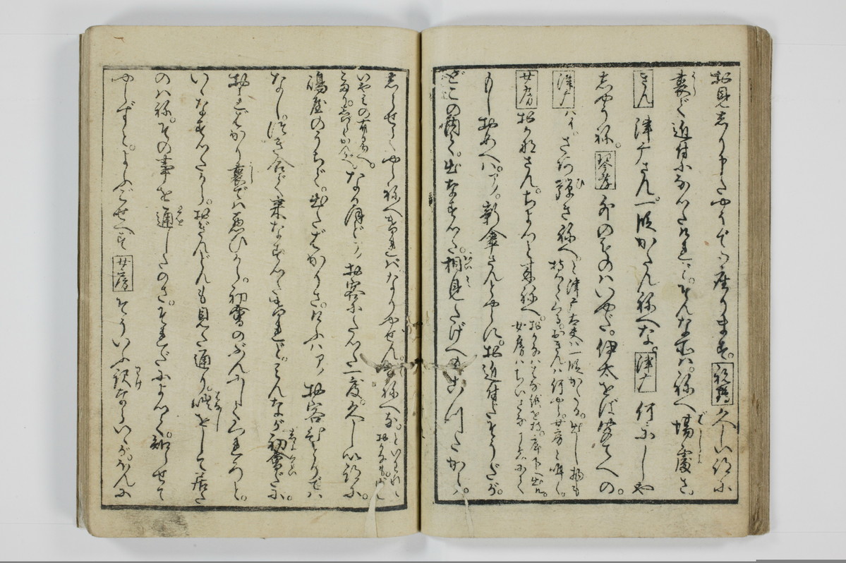 美地乃蠣殻/A055_023