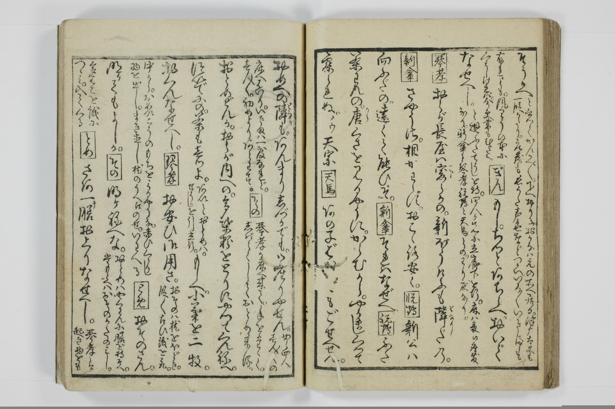 美地乃蠣殻/A055_024