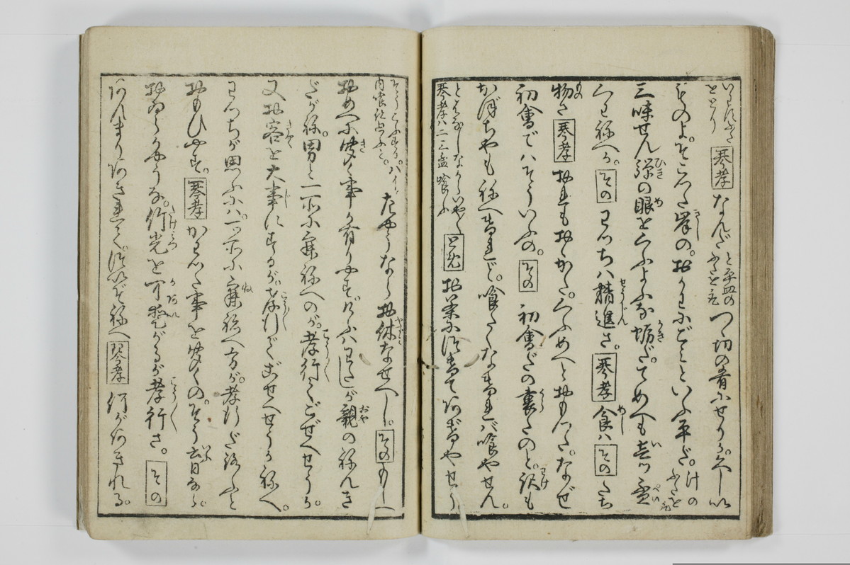 美地乃蠣殻/A055_025