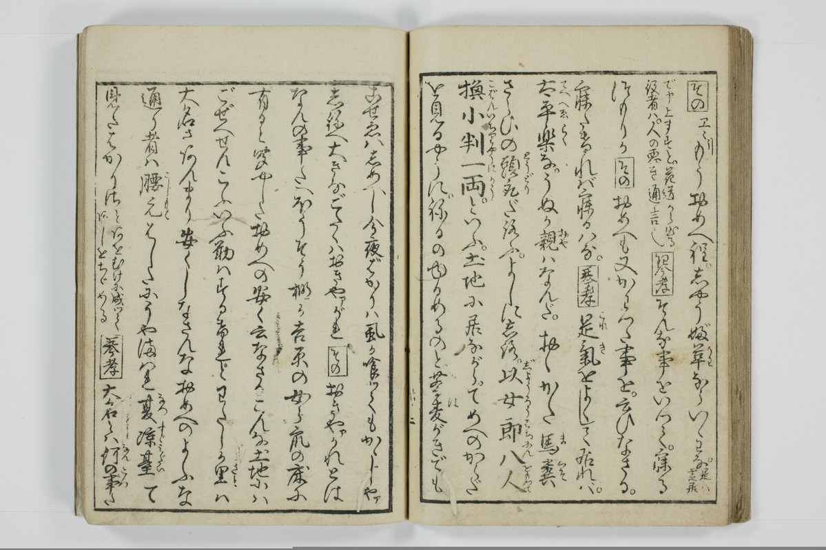 美地乃蠣殻/A055_026