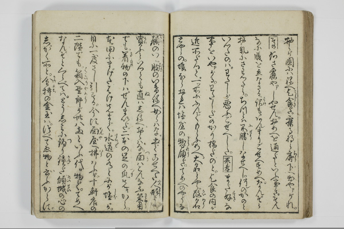 美地乃蠣殻/A055_027