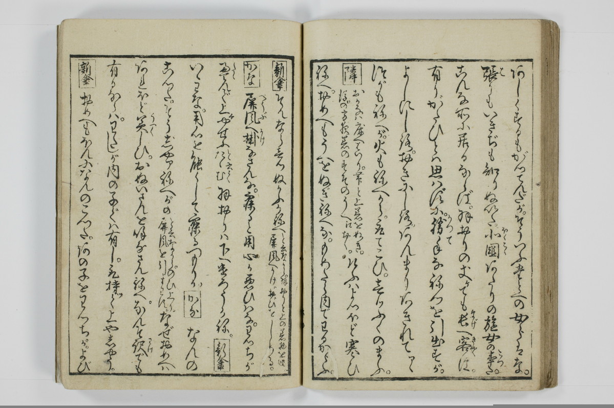 美地乃蠣殻/A055_028