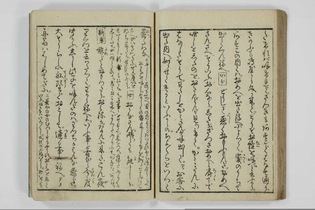 美地乃蠣殻/A055_029