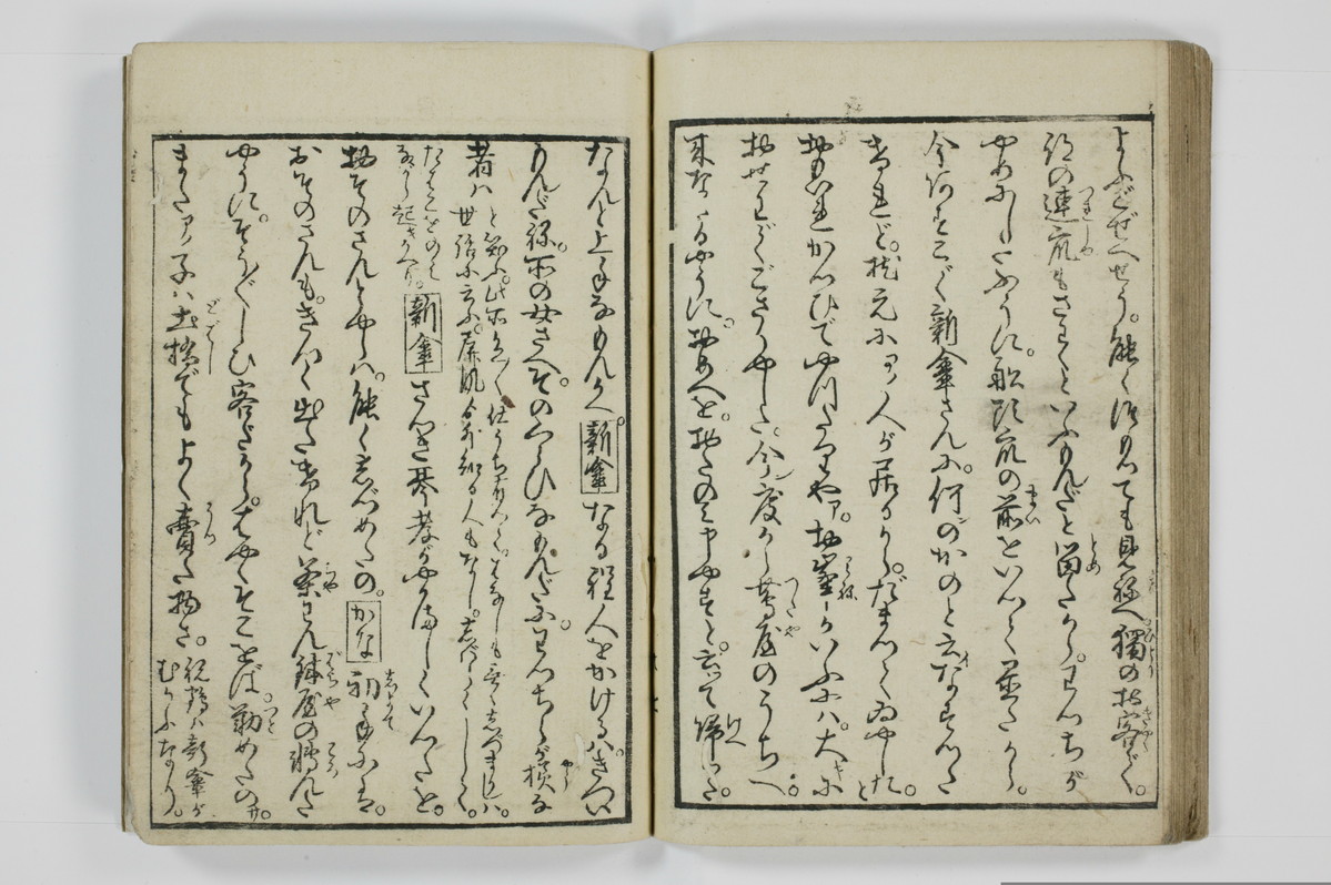 美地乃蠣殻/A055_031