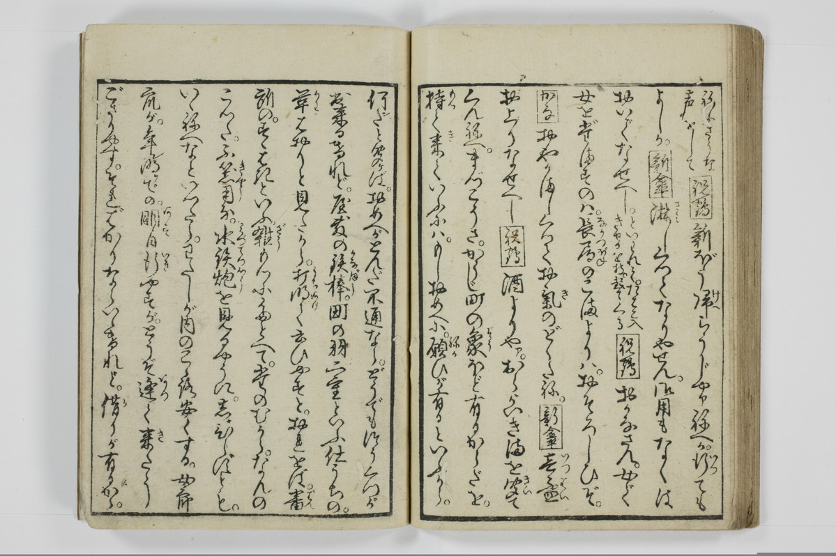 美地乃蠣殻/A055_032
