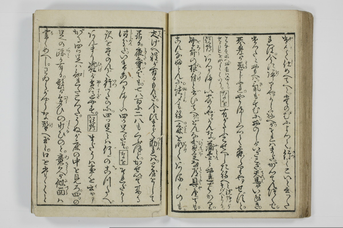 美地乃蠣殻/A055_033