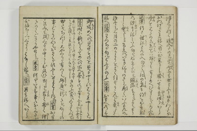 美地乃蠣殻/A055_006