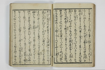 美地乃蠣殻/A055_011
