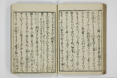 美地乃蠣殻/A055_031