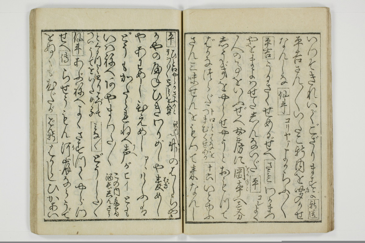 青楼夜世界闇明月/A069_016