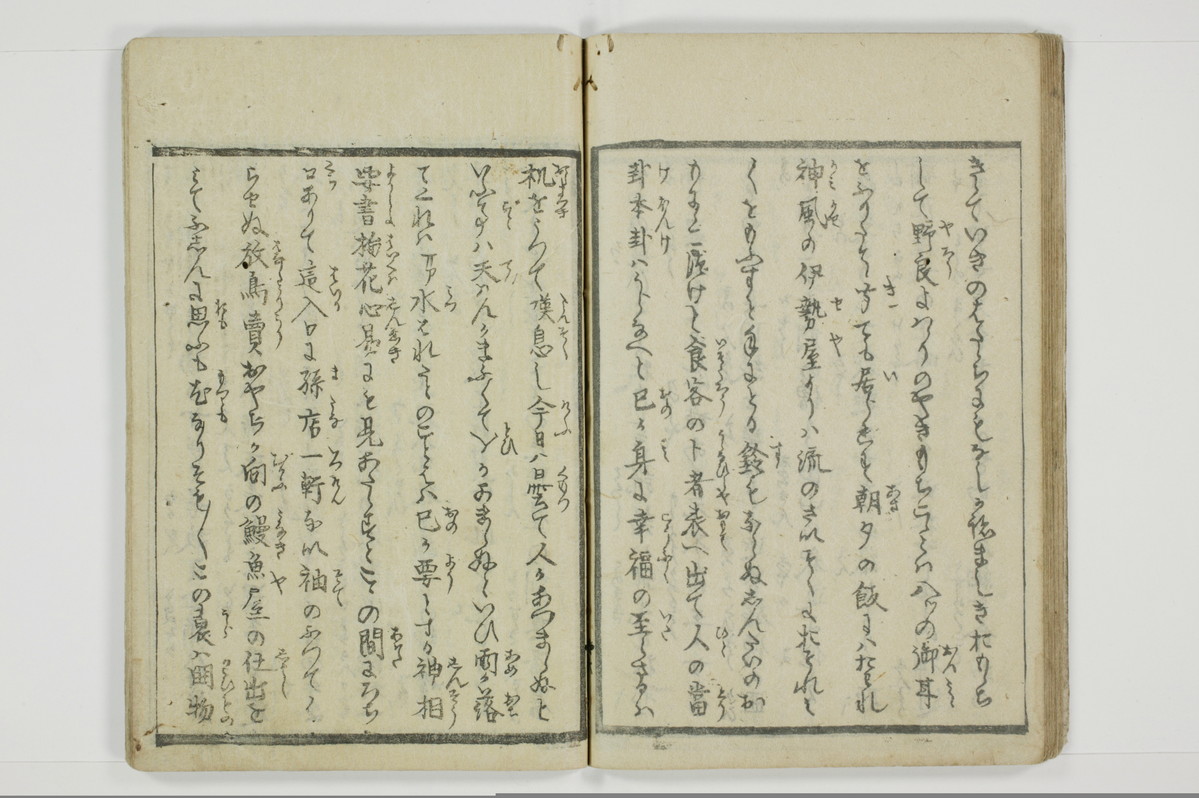 やまあらし/A079_033