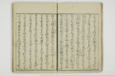 やまあらし/A079_017
