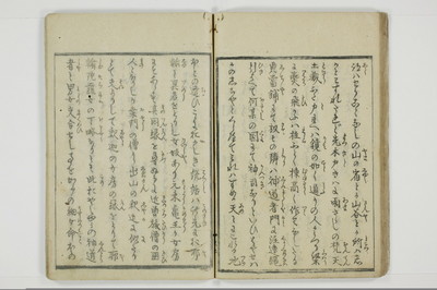 やまあらし/A079_032