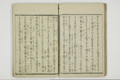 やまあらし/A079_033