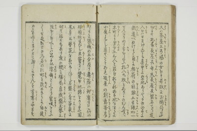 やまあらし/A079_034