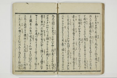 やまあらし/A079_035