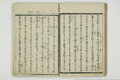 やまあらし/A079_036