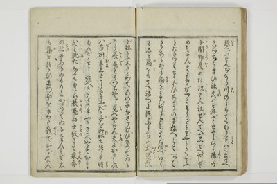 やまあらし/A079_039