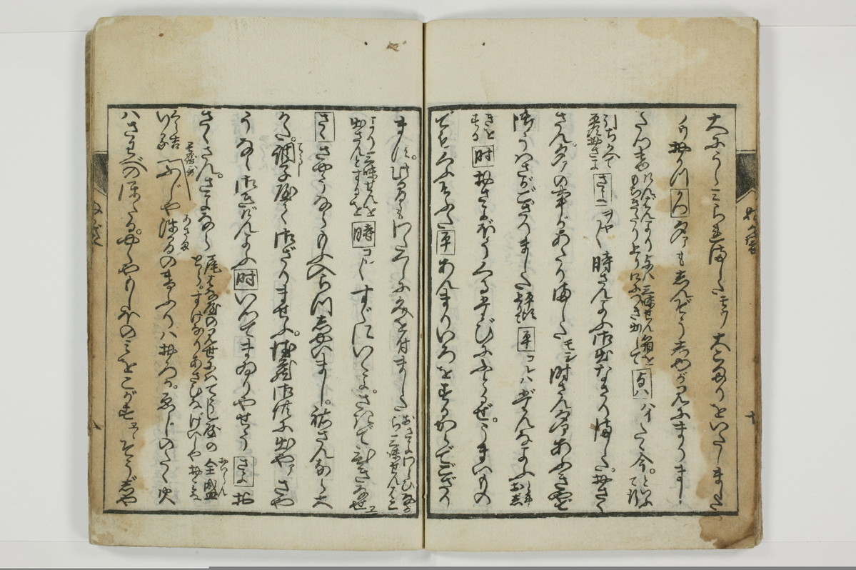 曽我糠袋/A096_014