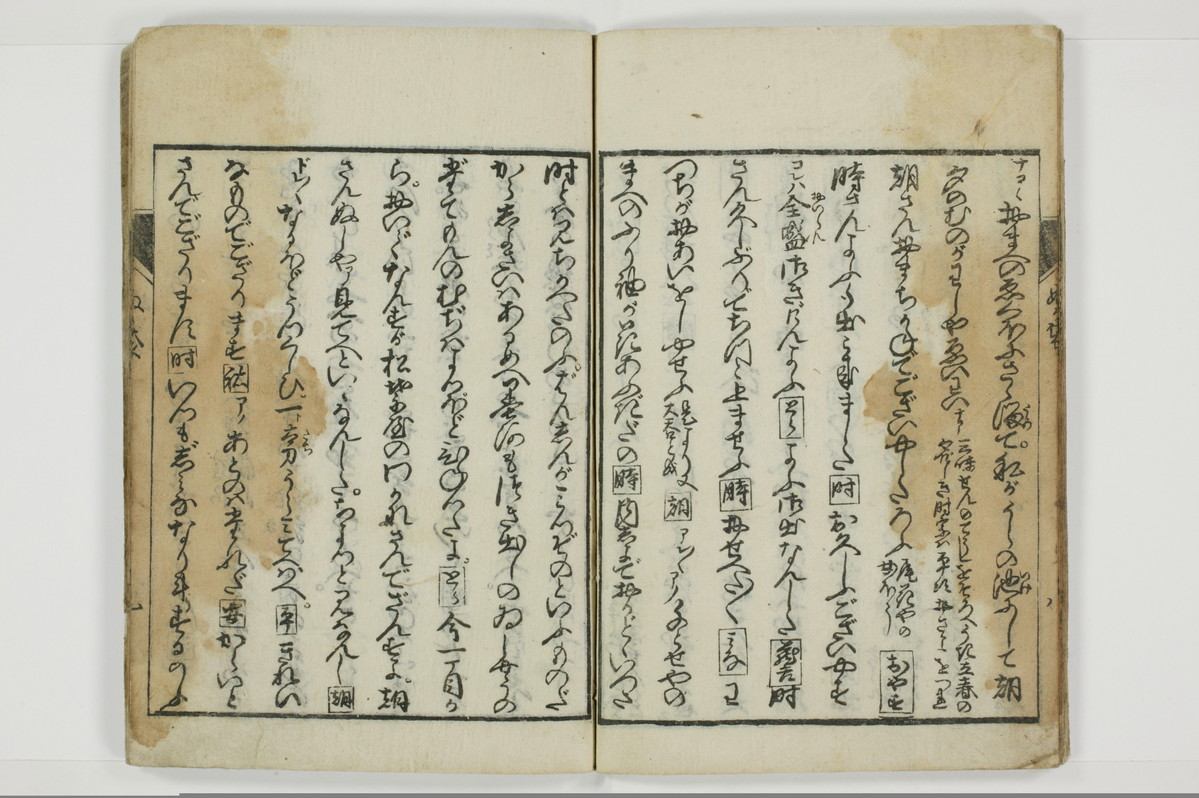 曽我糠袋/A096_015