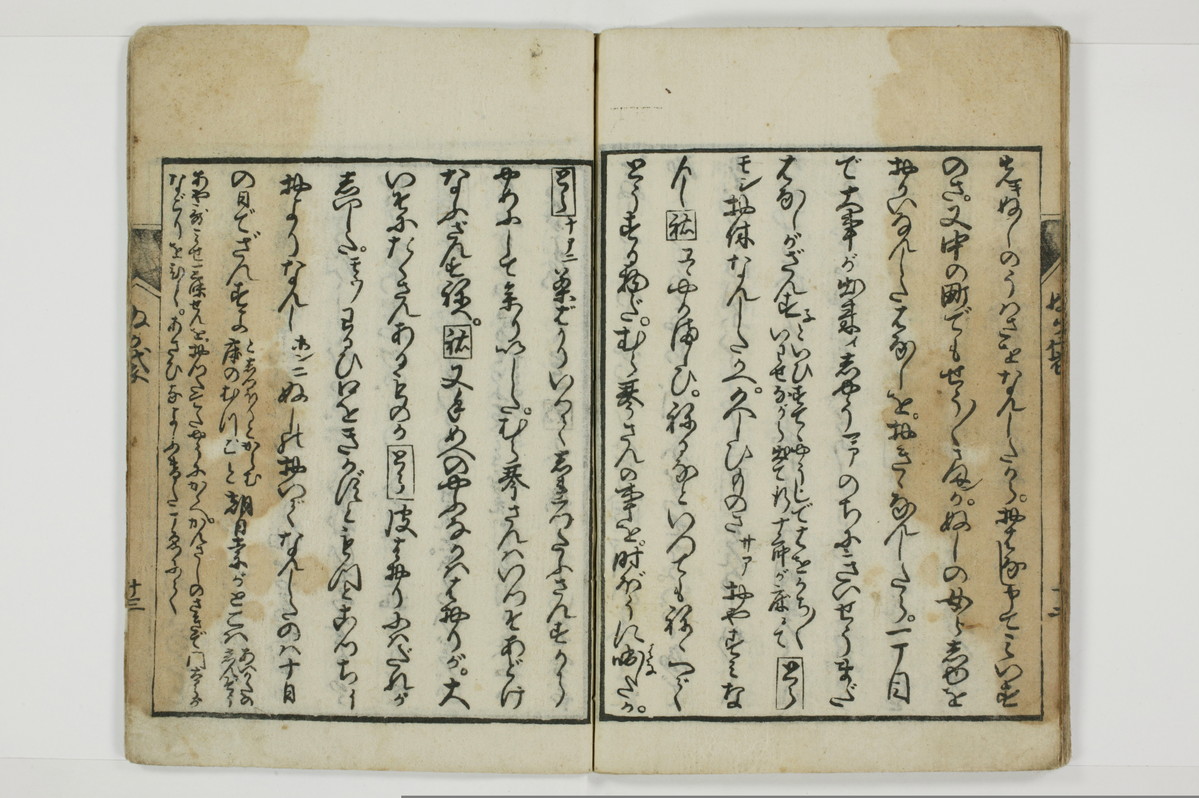 曽我糠袋/A096_019